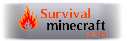 Survival Minecraft